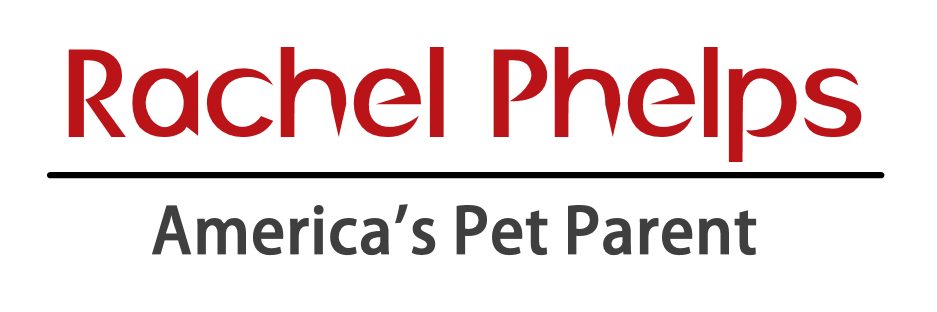 Rachel Phelps | America's Pet Parent